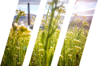 ITAD & Buy Back ITAD & Buy Back